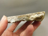 Crazy Lace Agate Stone Endcut Unpolished Rough Rock Mexico #O24