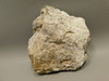 Crazy Lace Agate Stone Endcut Unpolished Rough Rock Mexico #O24