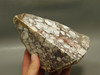 Wild Horse Unpolished Rough Rock Lapidary Arizona #O24