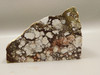 Wild Horse Unpolished Rough Rock Lapidary Arizona #O24