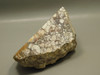 Wild Horse Unpolished Rough Rock Lapidary Arizona #O24