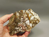 Wild Horse Unpolished Rough Rock Lapidary Arizona #O25