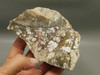 Wild Horse Unpolished Rough Rock Lapidary Arizona #O25
