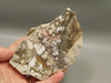 Wild Horse Unpolished Rough Rock Lapidary Arizona #O25