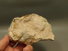Wild Horse Unpolished Rough Rock Lapidary Arizona #O25