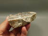 Wild Horse Unpolished Rough Rock Lapidary Arizona #O25