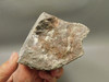 Wild Horse Unpolished Rough Rock Lapidary Arizona #O26