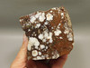 Wild Horse Unpolished Rough Rock Lapidary Arizona #O26
