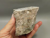 Wild Horse Unpolished Rough Rock Lapidary Arizona #O26