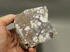 Wild Horse Unpolished Rough Rock Lapidary Arizona #O26