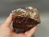 Wild Horse Unpolished Rough Rock Lapidary Arizona #O26