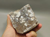 Wild Horse Unpolished Rough Rock Lapidary Arizona #O26
