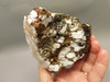 Wild Horse Unpolished Rough Rock Lapidary Arizona #O27