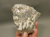 Wild Horse Unpolished Rough Rock Lapidary Arizona #O27