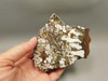 Wild Horse Unpolished Rough Rock Lapidary Arizona #O27