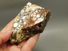 Wild Horse Unpolished Thick Slab Rough Rock Lapidary Arizona #O28