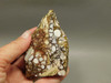 Wild Horse Unpolished Thick Slab Rough Rock Lapidary Arizona #O28
