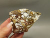 Wild Horse Unpolished Thick Slab Rough Rock Lapidary Arizona #O28