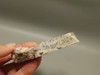 Wild Horse Unpolished Thick Slab Rough Rock Lapidary Arizona #O29