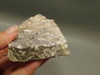 Wild Horse Unpolished Thick Slab Rough Rock Lapidary Arizona #O29