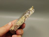 Wild Horse Unpolished Thick Slab Rough Rock Lapidary Arizona #O29