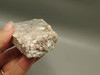 Wild Horse Unpolished Thick Slab Rough Rock Lapidary Arizona #O29
