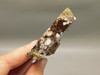 Wild Horse Unpolished Thick Slab Rough Rock Lapidary Arizona #O29