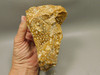 Spotted Fawn Stone or Tigilitis Lapidary Rough Rock #O2