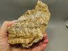 Spotted Fawn Stone or Tigilitis Lapidary Rough Rock #O2
