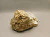 Spotted Fawn Stone or Tigilitis Lapidary Rough Rock #O2