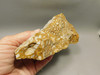 Spotted Fawn Stone or Tigilitis Lapidary Rough Rock #O2