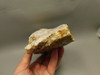 Spotted Fawn Stone or Tigilitis Lapidary Rough Rock #O2