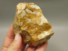 Spotted Fawn Stone or Tigilitis Lapidary Rough Rock #O4