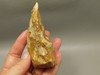 Spotted Fawn Stone or Tigilitis Lapidary Rough Rock #O6