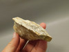 Spotted Fawn Stone or Tigilitis Lapidary Rough Rock #O6