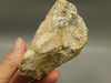 Spotted Fawn Stone or Tigilitis Lapidary Rough Rock #O6