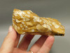 Spotted Fawn Stone or Tigilitis Lapidary Rough Rock #O6