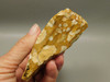 Spotted Fawn Stone or Tigilitis Lapidary Rough Rock #O6