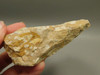 Spotted Fawn Stone or Tigilitis Lapidary Rough Rock #O6