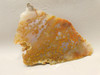 Ocean Jasper Unpolished Stone Slab Natural Lapidary Rock #O11