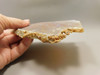Ocean Jasper Unpolished Stone Slab Natural Lapidary Rock #O11