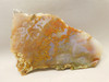 Ocean Jasper Unpolished Stone Slab Natural Lapidary Rock #O14