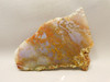 Ocean Jasper Unpolished Stone Slab Natural Lapidary Rock #O14