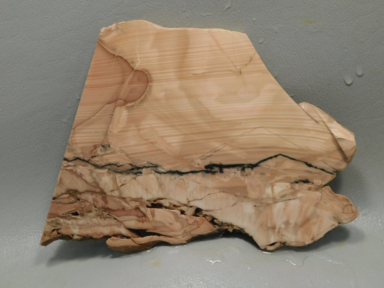 Willow Creek Picture Jasper Rough Rock Stone Slab Lapidary Idaho #O3