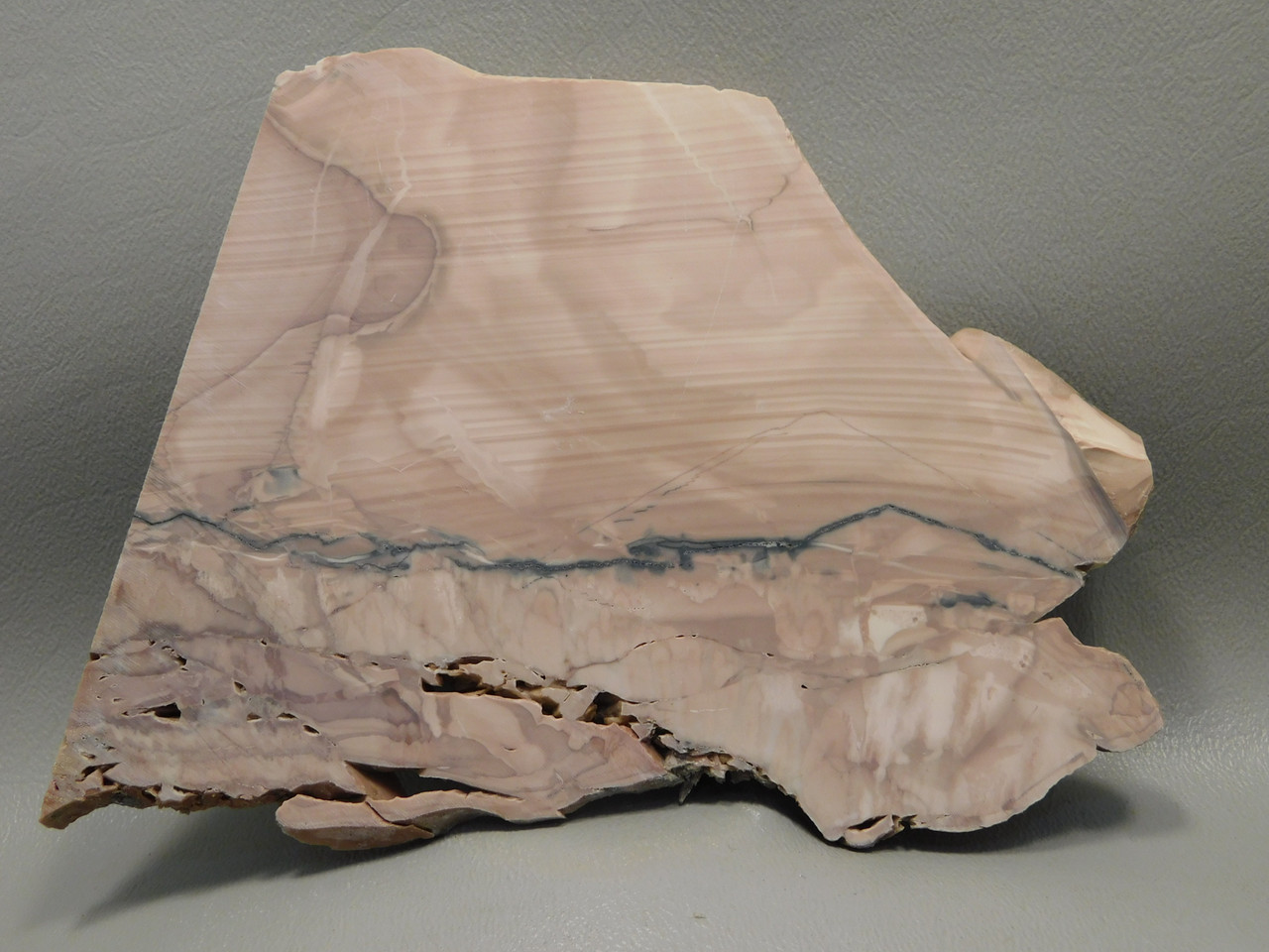 Willow Creek Picture Jasper Rough Rock Stone Slab Lapidary Idaho #O3