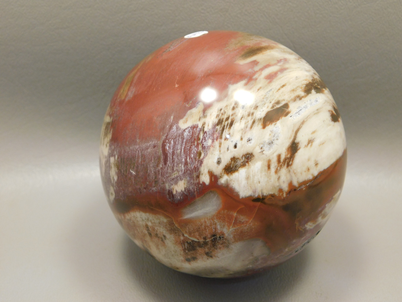 Petrified Wood Sphere Stone Large 3.5 inch Mineral Ball Madagascar #OM2