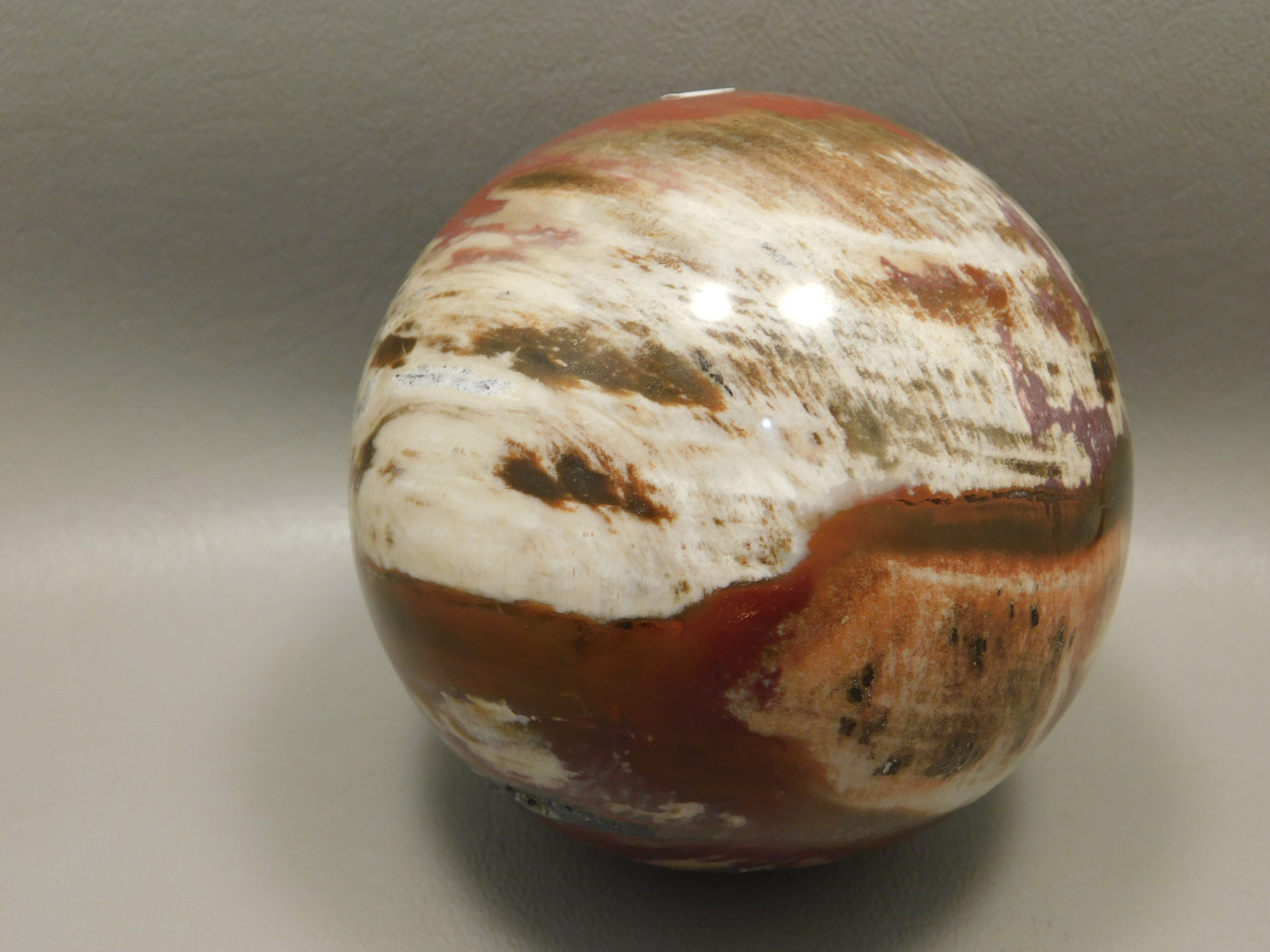 Petrified Wood Sphere Stone Large 3.5 inch Mineral Ball Madagascar #OM2