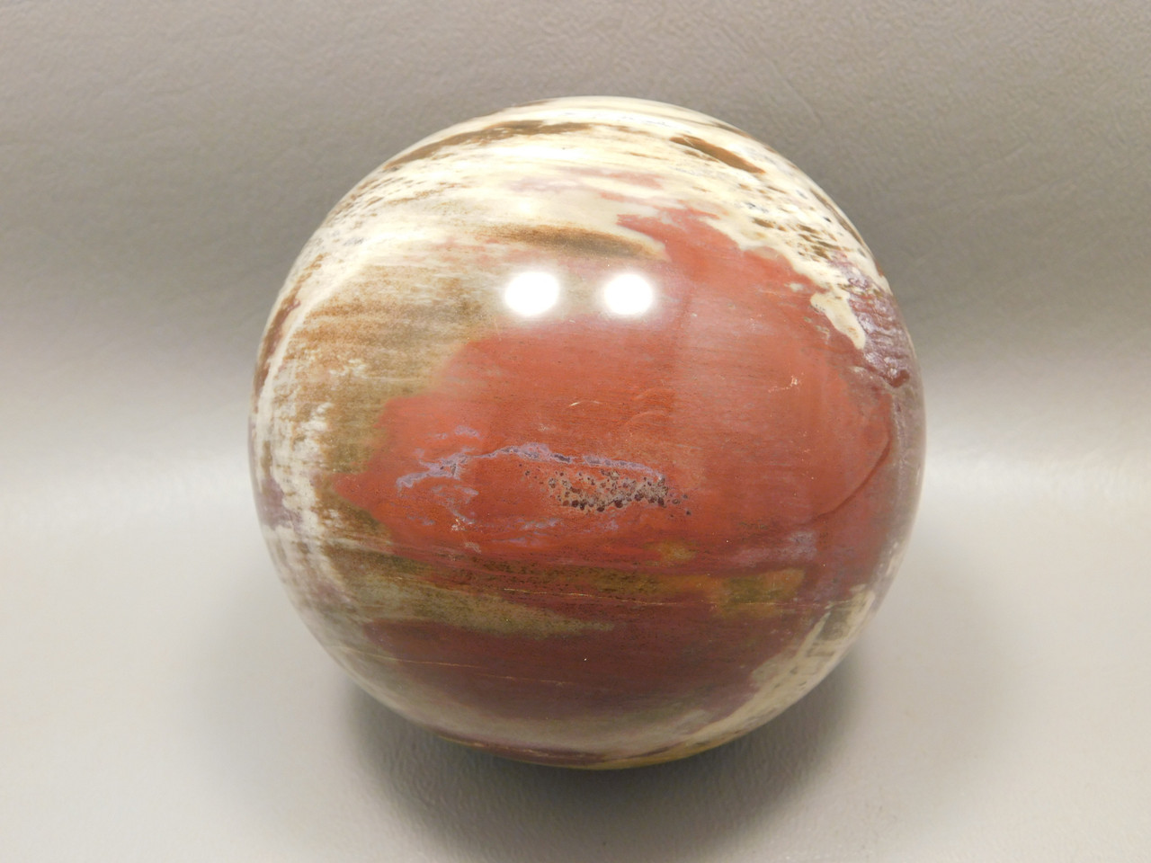 Petrified Wood Sphere Stone Large 3.5 inch Mineral Ball Madagascar #OM2
