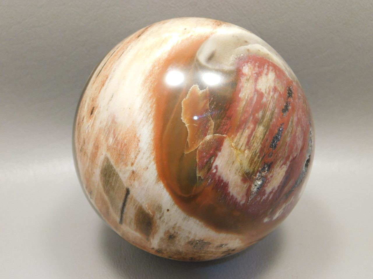Petrified Wood Sphere Stone Large 3.5 inch Mineral Ball Madagascar #OM2
