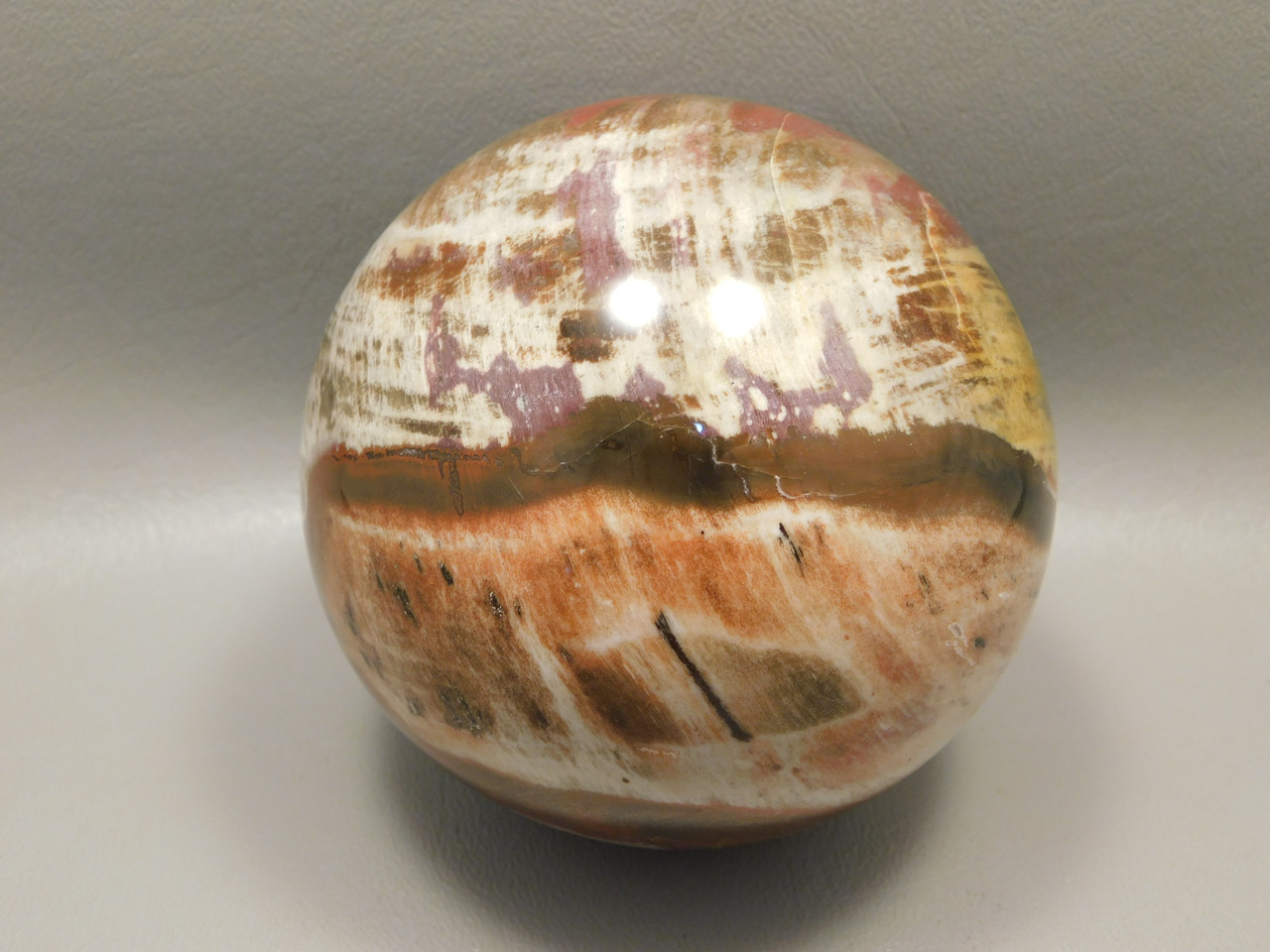Petrified Wood Sphere Stone Large 3.5 inch Mineral Ball Madagascar #OM2